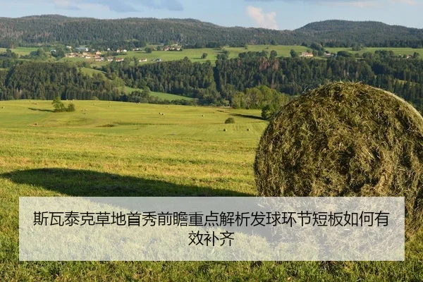 斯瓦泰克草地首秀前瞻重点解析发球环节短板如何有效补齐
