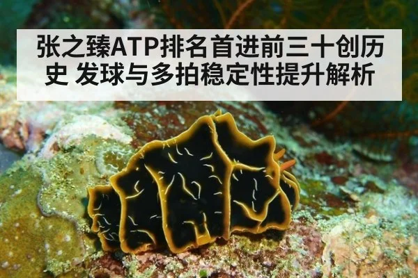 张之臻ATP排名首进前三十创历史 发球与多拍稳定性提升解析