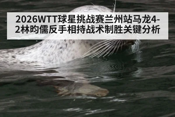 2026WTT球星挑战赛兰州站马龙4-2林昀儒反手相持战术制胜关键分析
