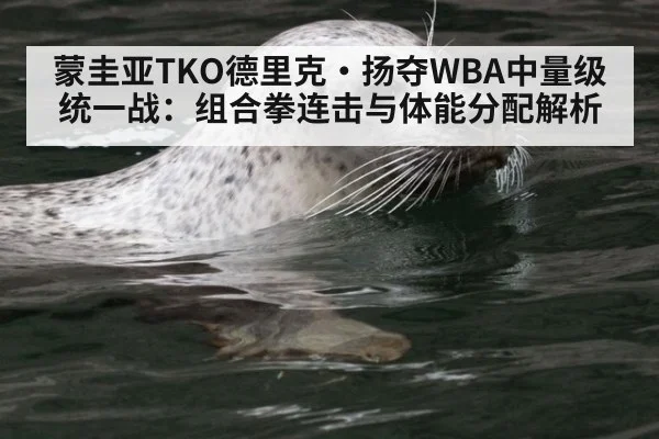 蒙圭亚TKO德里克·扬夺WBA中量级统一战：组合拳连击与体能分配解析