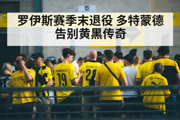 罗伊斯赛季末退役 多特蒙德告别黄黑传奇